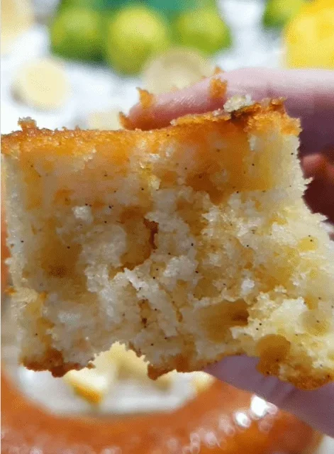 Recette gâteau moelleux citron vanille Vani Saveurs réalisée par Les Gourmandises de Deldel